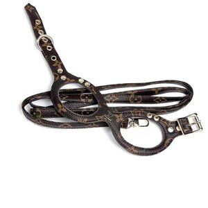 Dog Cat Harness and Leash Sets